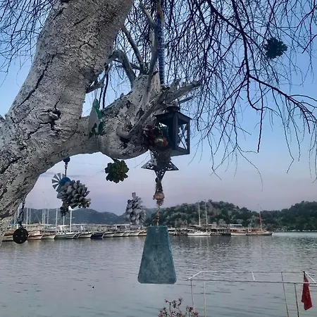 Kekova מלון דמרה